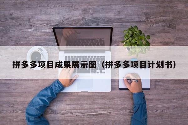 拼多多项目成果展示图（拼多多项目计划书）