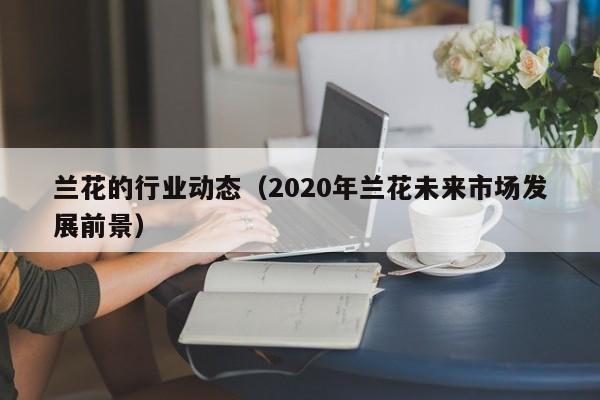 兰花的行业动态（2020年兰花未来市场发展前景）