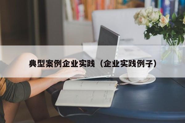 典型案例企业实践（企业实践例子）